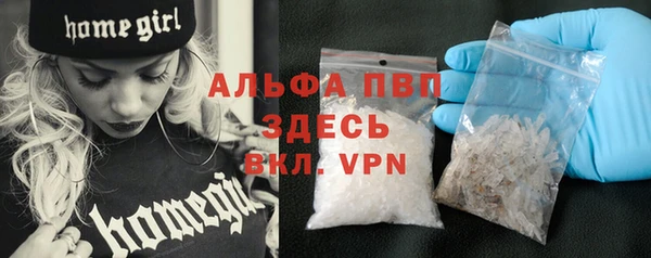 дмт Абаза