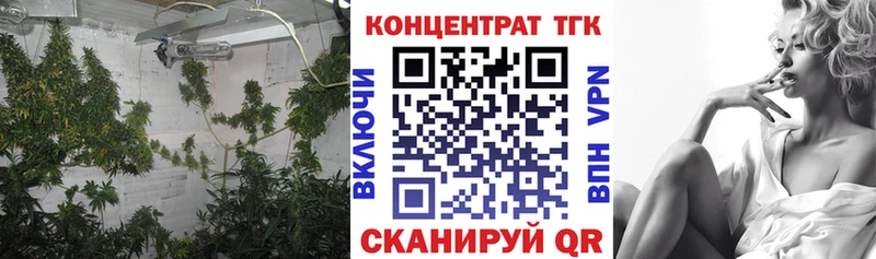 ТГК Wax Якутск