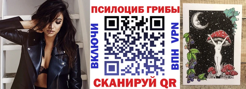 Псилоцибиновые грибы MAGIC MUSHROOMS  кракен сайт  Якутск 