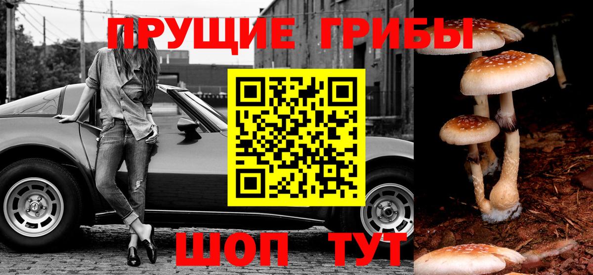 Якутск  Галлюциногенные грибы прущие грибы  Галлюциногенные грибы прущие грибы  Вход с VPN 