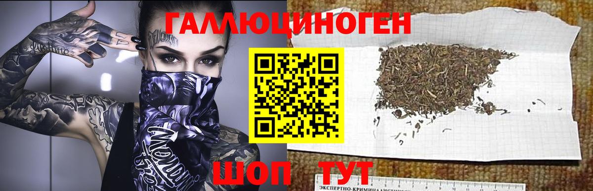 Галлюциногенные грибы мухоморы Якутск